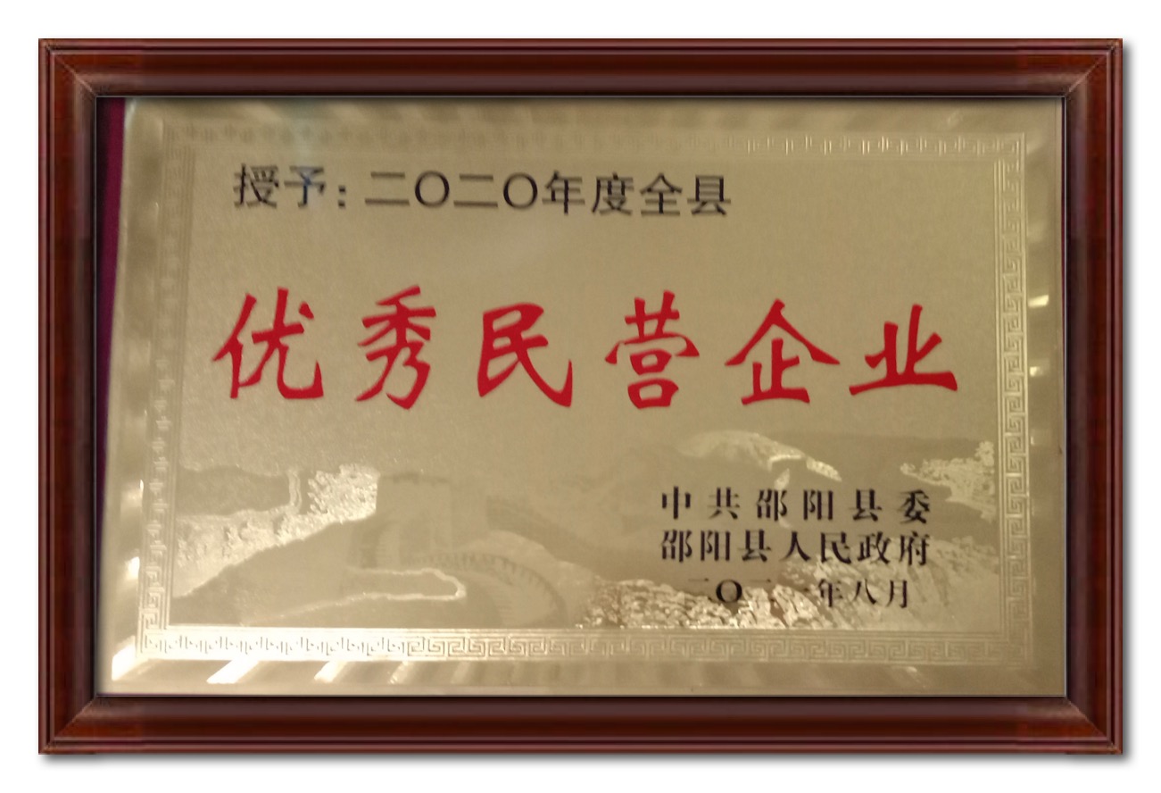 2020年優(yōu)秀民營企業(yè)